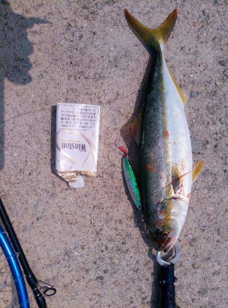 折れた(´・д・｀)