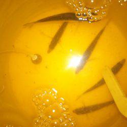 サビキ釣りでウリ坊の猛攻を受け撃沈…。