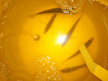 サビキ釣りでウリ坊の猛攻を受け撃沈…。