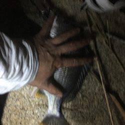 淀川 チャレンジ❗️