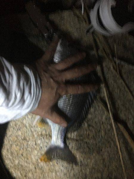 淀川 チャレンジ❗️