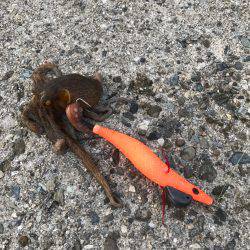 釣りと花火大会