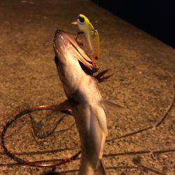 足元からアタック！