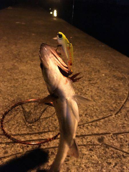 足元からアタック！