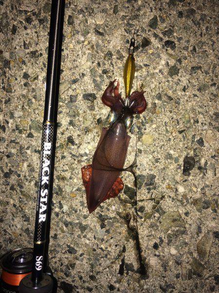 神明ライトエギング