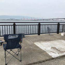 やっぱりタチウオは楽しい