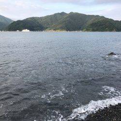 ロックフィッシュ