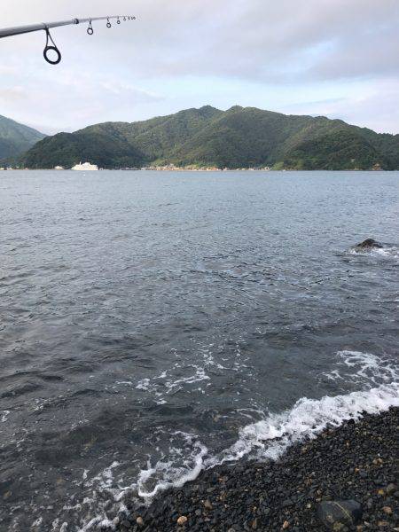 ロックフィッシュ