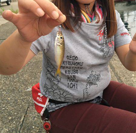 フィッシングポイント✖️34 第２回豆アジングカップin福井