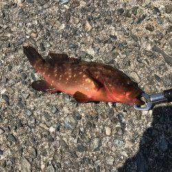 リフトアンドフォール