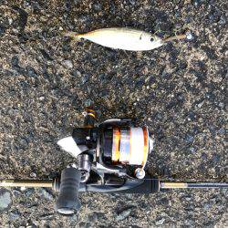 リハビリアジング。