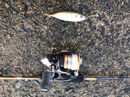 リハビリアジング。