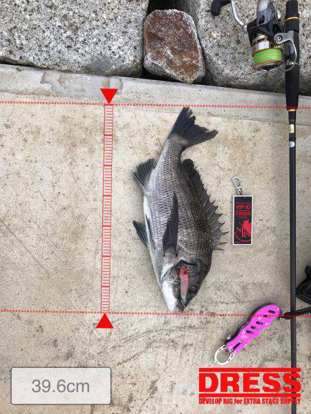 チヌポッパー宮川