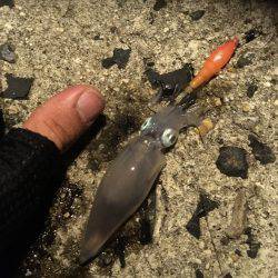 旬ものを探して。