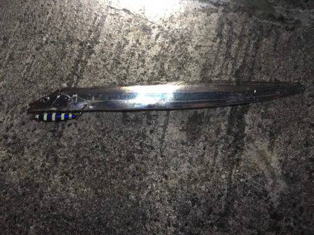 タチウオ 数は多い