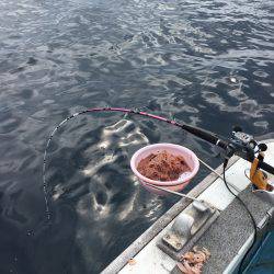 五目釣り&マイカ釣り