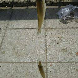 暑い１日だった