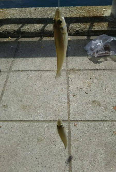 暑い１日だった