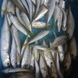 仕事帰りに軽く