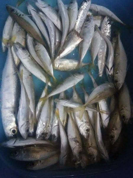 仕事帰りに軽く