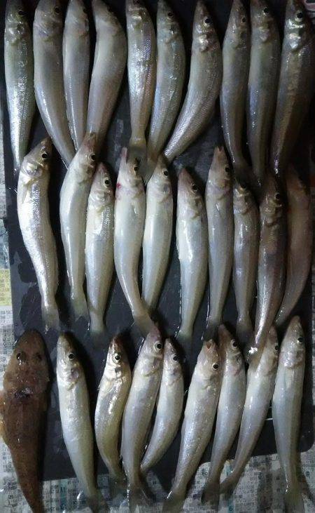 お昼から夕方まで