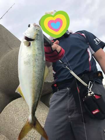 やっとツバス釣れた