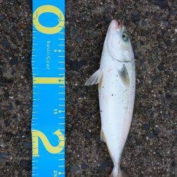 南芦屋浜ベランダ