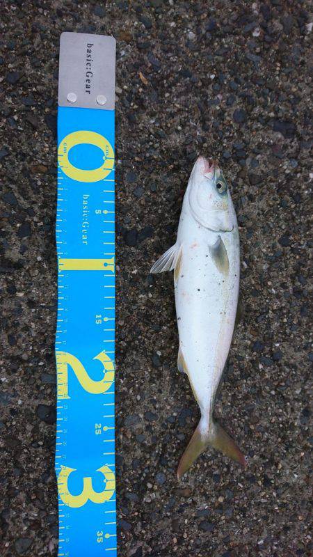 南芦屋浜ベランダ