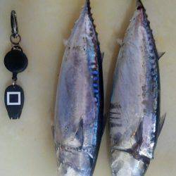 久しぶりの片浦