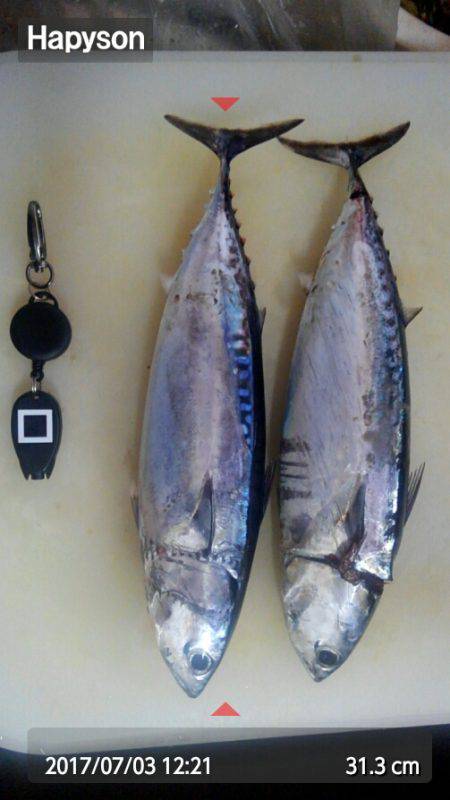 久しぶりの片浦