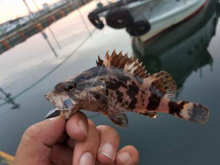 仕事終わりにライトワインド