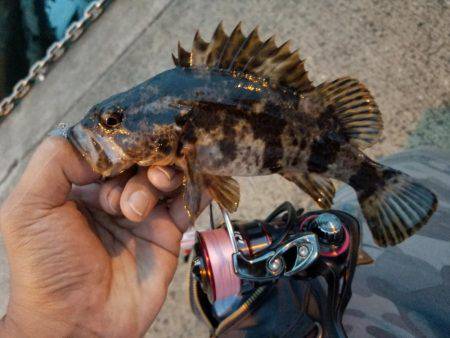 仕事帰りにライトワインド