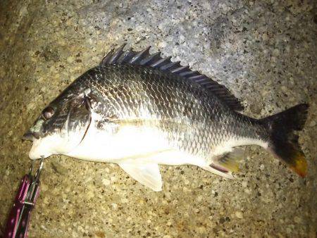 仕事帰りにちょっとだけ