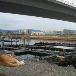 海上釣堀　田尻