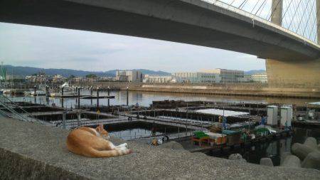 海上釣堀　田尻