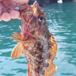 マイボートフィッシング