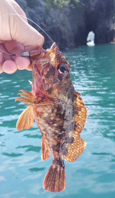 マイボートフィッシング