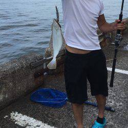 ねこまたぎ？！