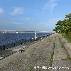 小サバ狙いで激渋