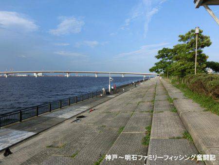 小サバ狙いで激渋