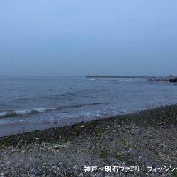 大キス狙いのはずが・・・まっいいか