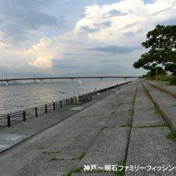 タチウオはどーしてる?