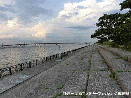 タチウオはどーしてる?