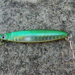 タチウオにダイソージグで挑戦