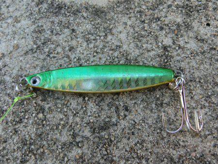 タチウオにダイソージグで挑戦