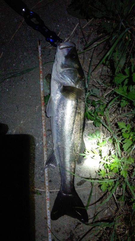 コアマン推し②