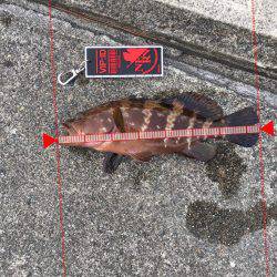 ミップル裏を西へ東へひたすらランガン