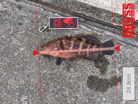 ミップル裏を西へ東へひたすらランガン