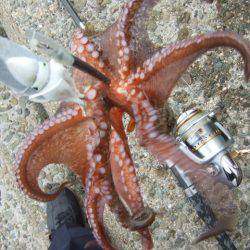 遠投＆深場狙い