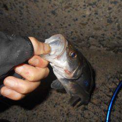 翌日は不調…。